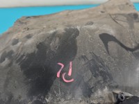 Nadkole przód lewe Audi A4 B6