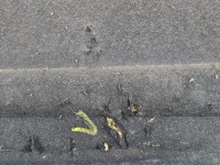 Wygłuszenie maski PODBITKA Citroen C5 II X7