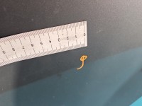 Drzwi tył lewe Fiat Grande Punto HB 5d srebrny 595/A