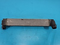Intercooler Renault Megane III 2.0 Tce 144960022R