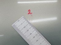 Drzwi przód lewe Renault Thalia I 4d groszkowy MY931