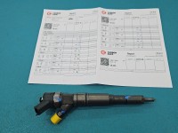 Wtryskiwacz Bmw e39 0445110266 3.0d