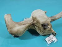 Zbiornik Zbiorniczek płynu spryskiwacza Peugeot 3008 I 09-16 9685005580