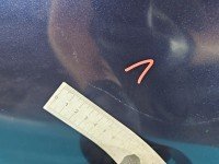 DRZWI PRZÓD PRAWE PASAŻERA Vw Passat B7 5d LH5X