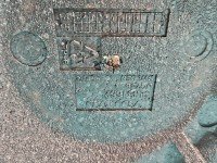 lewarek Podnośnik samochodowy trapezowy Volvo V40 II 12-