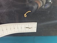 Drzwi tył lewe Peugeot 407 sedan 4d czarny, EXLD