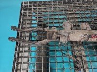 Amortyzator przód lewy przedni BMW X5 F15