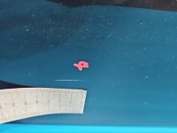 Drzwi tył prawe Renault Laguna III HB 5d NV676