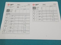 TESTOWANY Wtryskiwacz 0445110036 Citroen C5 I 2.2 hdi 133KM