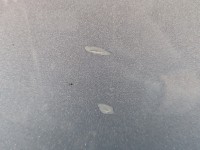 DRZWI PRZÓD PRAWE PASAŻERA Hyundai I30 II 12-16 5d ZAR