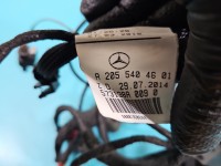 Instalacja Wiązka drzwi przód lewych Mercedes W205 A2055404601