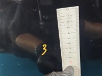 DRZWI PRZÓD LEWE KIEROWCY Vw Golf VI 5d CZARNY L041