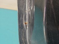 Klapa tył Peugeot 308 I T7 kombi 5d grafitowy KTPD