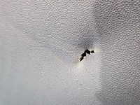 Fotel lewy przód kierowcy Renault Clio II 3d EUROPA