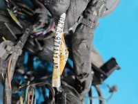 Wiązka instalacja Jaguar, Komplet przewodów komory silnika ze skrzynką bezpieczników, GX73-14A076-AA, GX73-14290-AGD,...