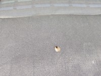 Fotel lewy przód kierowcy Mercedes W169 3d EUROPA