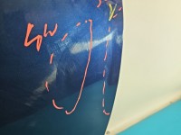 DRZWI PRZÓD PRAWE PASAŻERA Dacia Sandero II 12-20 5d TRRPR