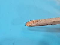 Przekładnia kierownicza maglownica Opel Astra V K 39096855, 426154570