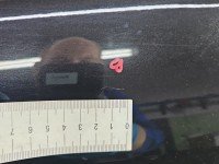 Drzwi tył prawe Renault Megane III kombi 5d czarny NV676