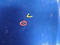 Maska przednia Fiat Grande Punto