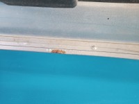 Klapa tył Ford S-max I MK1 HB 5d 76