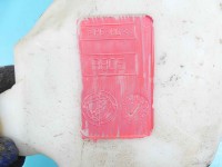Zbiornik Zbiorniczek płynu spryskiwacza Fiat Stilo