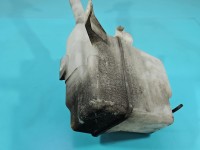 Zbiornik Zbiorniczek płynu spryskiwacza Mitsubishi Outlander II