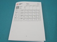 TESTOWANY Wtryskiwacz komplet Peugeot 607 0445110036 2.2 hdi