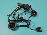 Instalacja Wiązka drzwi tył prawych Kia Sportage IV 15-21 91660-F1070