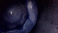 Silnik Ford Focus Mk3 1.6 tdci 95KM ODPALANY FILM POMIAR