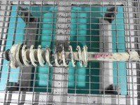 Amortyzator tył lewy Mitsubishi Lancer VI 96- sedan tylny