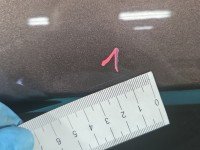 DRZWI PRZÓD PRAWE PASAŻERA Peugeot 301 4d brązowy kcmc