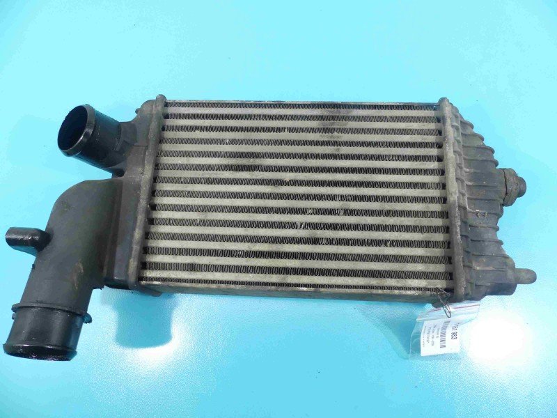 Intercooler Citroen Jumper I 2.8 hdi 1319508