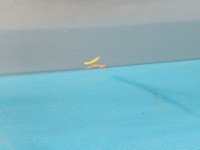 Klapa tył Toyota Corolla E12 HB 5d 1C0