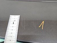 Klapa tył Hyundai Tucson III 15-20 HB 5d brązowy XN3 Klapa tył Hyundai Tucson III 15-20 HB 5d brązowy XN3