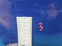 DRZWI PRZÓD PRAWE PASAŻERA Skoda Fabia III 5d granatowy ŁF5A