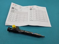 Wtryskiwacz Peugeot Expert III 16- 28602948, 9674984080 2.0 hdi (DW10FE)