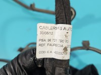 Czujnik parkowania PDC Citroen C4 II KCH 9672179080, 0263013178, 0263003893