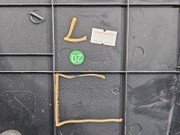 Osłona ZAŚLEPKA PLASTIK Toyota Corolla E21 19- 55317-02700, 55317-02710