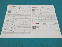TESTOWANY Wtryskiwacz 0445110297 Citroen C3 Picasso 08-17 1.6 hdi 109KM