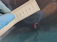 DRZWI PRZÓD LEWE KIEROWCY Toyota Prius II XW20 03- 5d brązowy 1G3