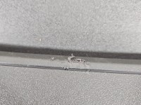 Tapicerka klapy tył boczek bagażnika tylnej Seat Leon III 12- 5F9867601F, 5F9867603C