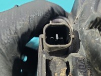 Halogen prawy Honda Accord VI 98-02