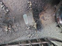Skrzynia biegów 20CP91 Peugeot 206 1.6 16V