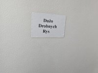 Drzwi tył prawe Ford Transit Connect I MK1 HB 5d biały AA