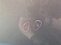 Drzwi tył prawe Renault Scenic III HB 5d brązowy TECNB