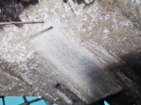 Skrzynia biegów JH3 166, JH3166 Renault Twingo II 1.5 dci