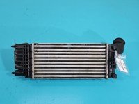 Intercooler Peugeot 407 2.0 hdi