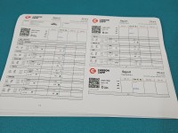 TESTOWANY Wtryskiwacz 0445110297 Citroen C4 picasso I 06-13 1.6 hdi 109KM