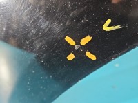 Błotnik przód prawy Fiat Croma II 601/f